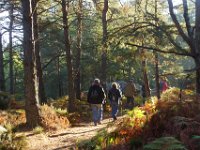 2016-10-09 Les gorges d Apremont 0035